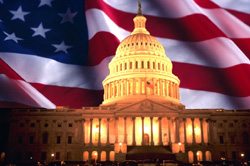 U.S. Capitol and Flag
