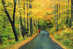 Country Road 1