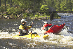 Kayak