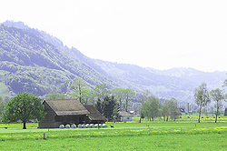 Rural 2